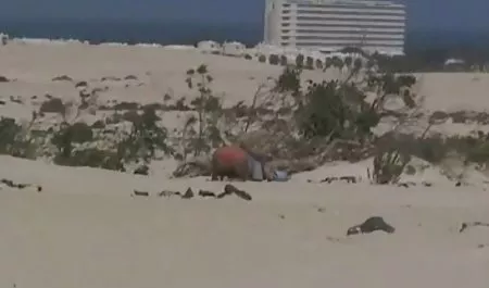 Dalam pakai jari bokep semi mother orang Amerika Lorelei cinta