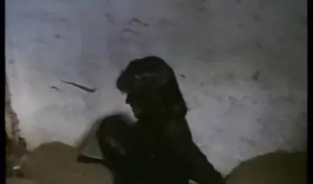 Besar bokep seks mom and son nenek mengambil alih kontol mengisap dan naik